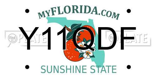 Y11QDF Florida License Plate