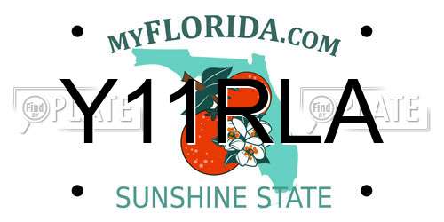 Y11RLA Florida License Plate