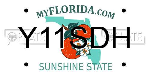 Y11SDH Florida License Plate