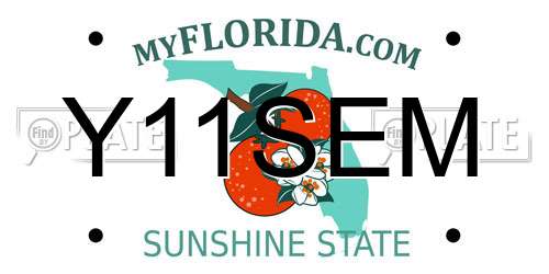 Y11SEM Florida License Plate