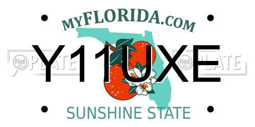 Y11UXE Florida License Plate