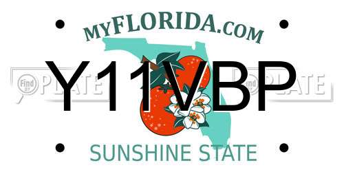 Y11VBP Florida License Plate