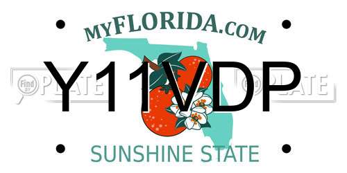 Y11VDP Florida License Plate