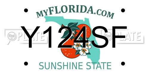 Y124SF Florida License Plate