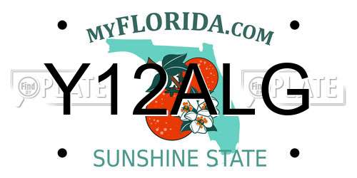 Y12ALG Florida License Plate