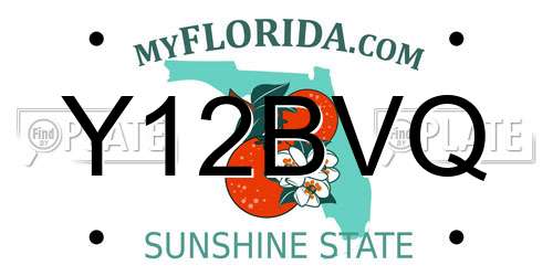 Y12BVQ Florida License Plate