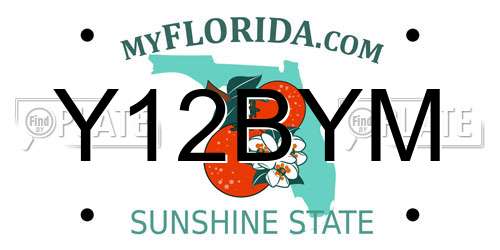 Y12BYM Florida License Plate