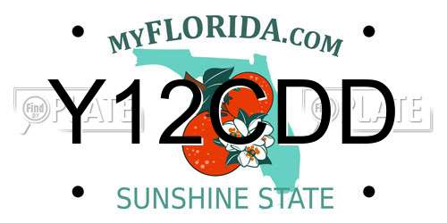 Y12CDD Florida License Plate