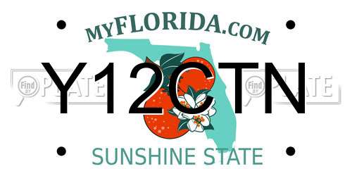 Y12CTN Florida License Plate