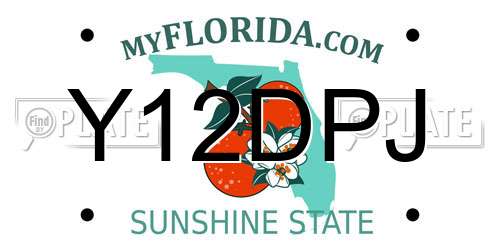 Y12DPJ Florida License Plate