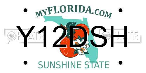 Y12DSH Florida License Plate