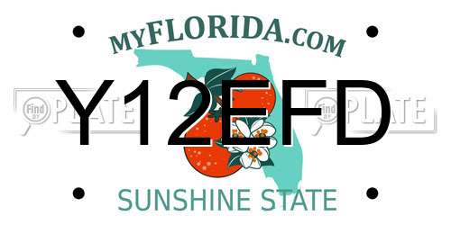 Y12EFD Florida License Plate