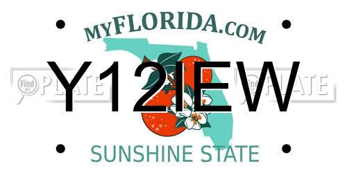 Y12IEW Florida License Plate
