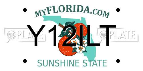 Y12ILT Florida License Plate