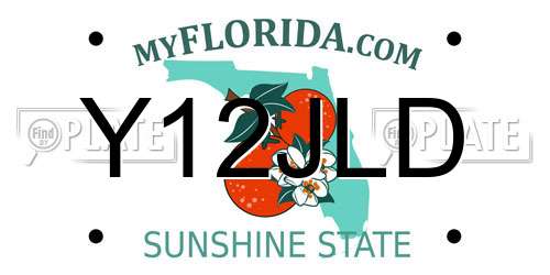 Y12JLD Florida License Plate