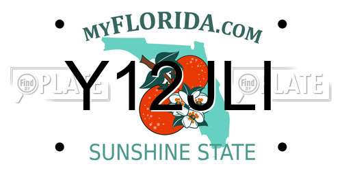 Y12JLI Florida License Plate