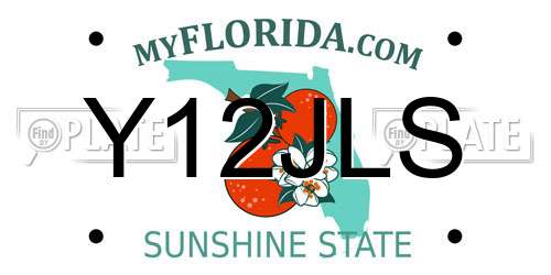 Y12JLS Florida License Plate
