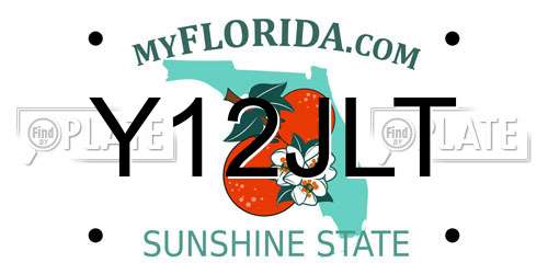 Y12JLT Florida License Plate