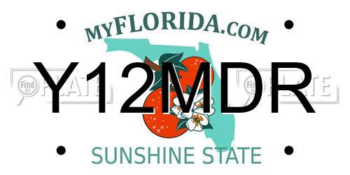Y12MDR Florida License Plate