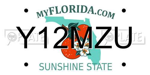 Y12MZU Florida License Plate