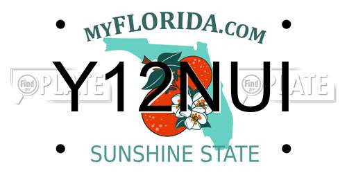 Y12NUI Florida License Plate
