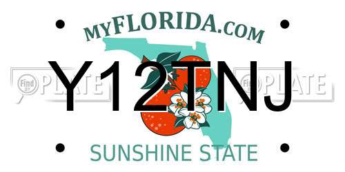 Y12TNJ Florida License Plate