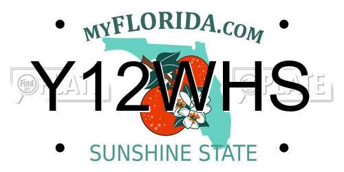 Y12WHS Florida License Plate