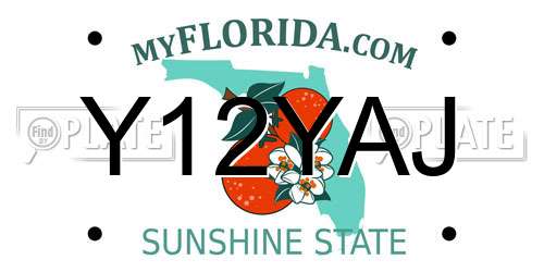 Y12YAJ Florida License Plate