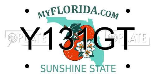 Y131GT Florida License Plate