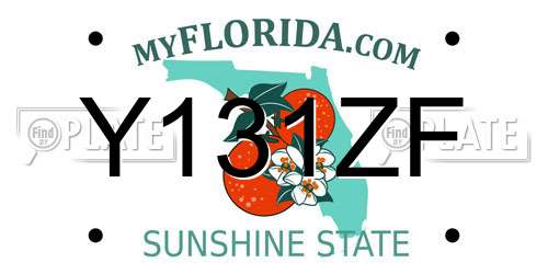Y131ZF Florida License Plate