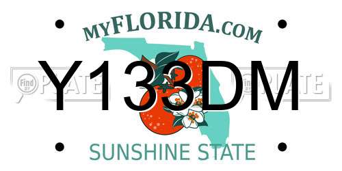 Y133DM Florida License Plate