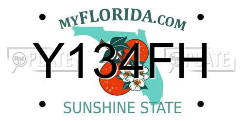 Y134FH Florida License Plate