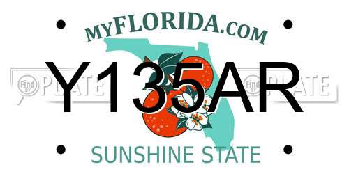 Y135AR Florida License Plate