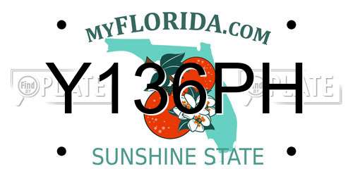 Y136PH Florida License Plate