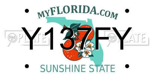 Y137FY Florida License Plate