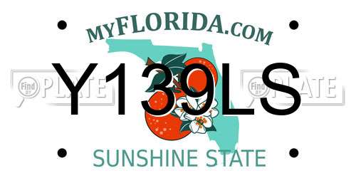 Y139LS Florida License Plate