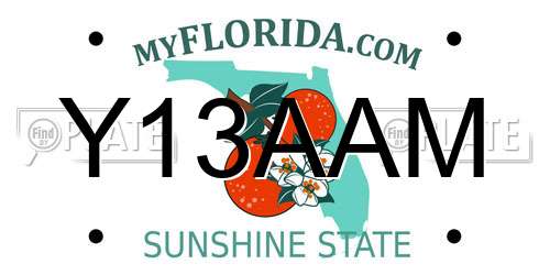 Y13AAM Florida License Plate