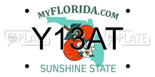 Y13AT Florida License Plate