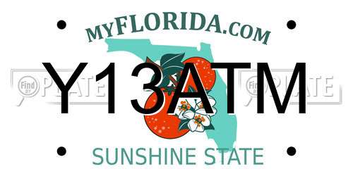 Y13ATM Florida License Plate