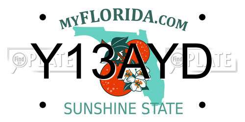 Y13AYD Florida License Plate