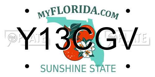Y13CGV Florida License Plate
