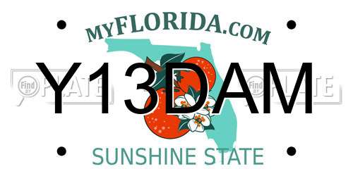 Y13DAM Florida License Plate