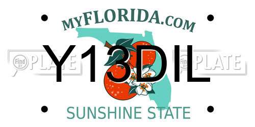 Y13DIL Florida License Plate