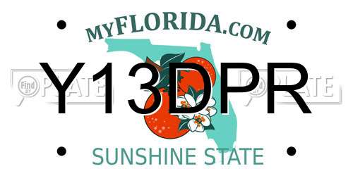 Y13DPR Florida License Plate