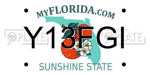 Y13FGI Florida License Plate