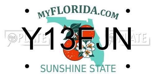 Y13FJN Florida License Plate