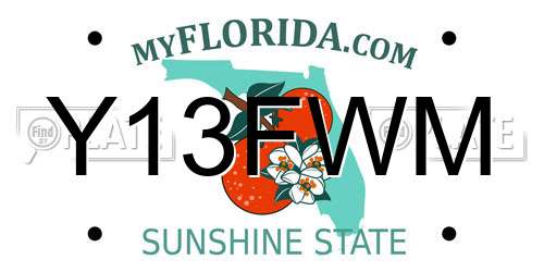 Y13FWM Florida License Plate