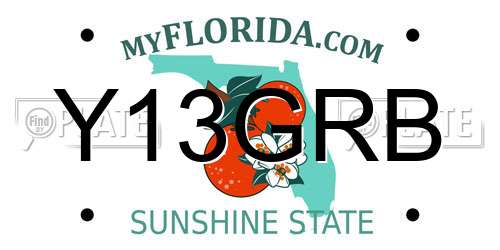 Y13GRB Florida License Plate
