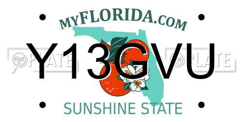 Y13GVU Florida License Plate