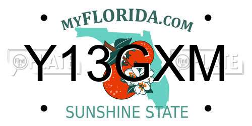 Y13GXM Florida License Plate